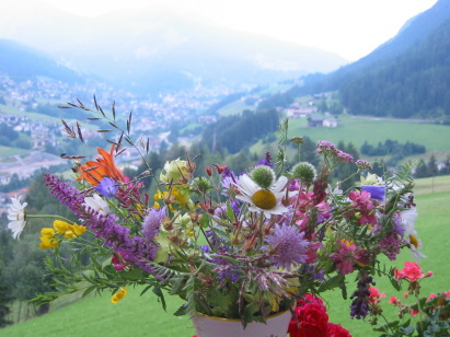 Grödener Tal, 11.07.2008 Grödener Tal, 11.07.2008